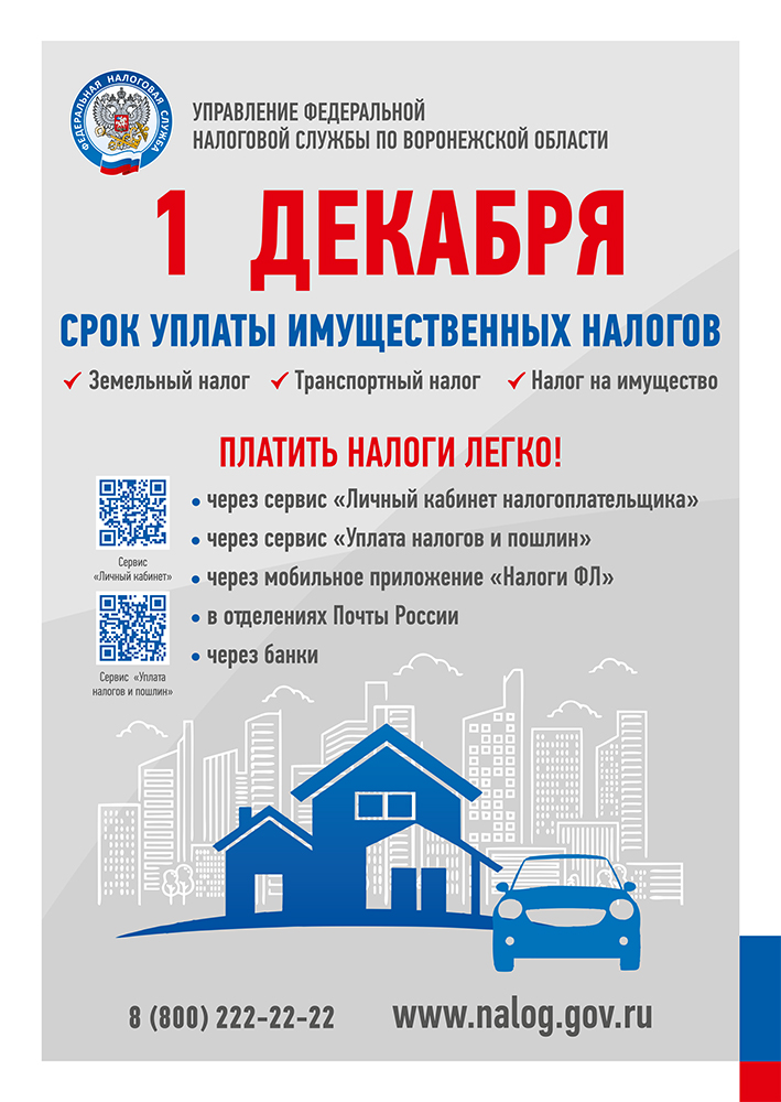 1 декабря 2025 года включительно — срок уплаты имущественных налогов.