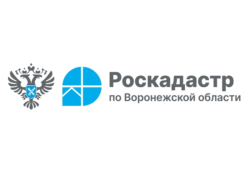 В 2026 году в 12 районах Воронежской области пройдут комплексные кадастровые работы федерального значения.