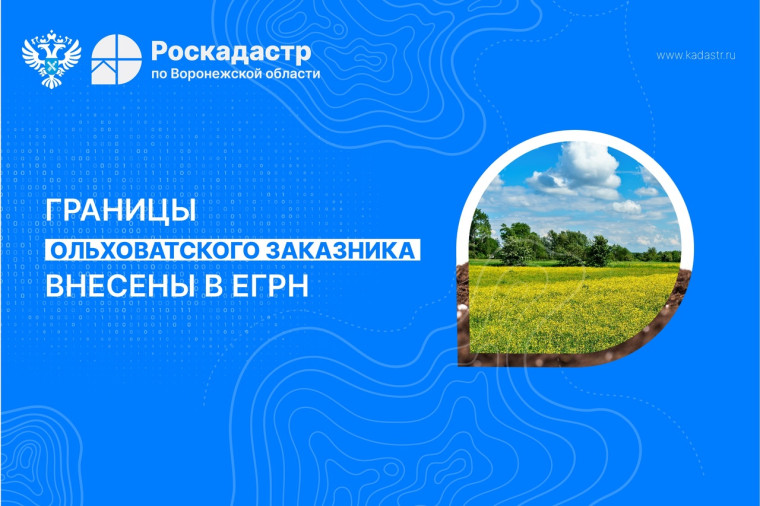 Роскодастр информирует. Роскодастр информирует.